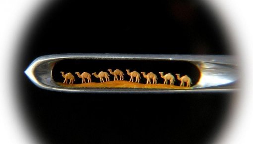 ���� ��� �����������: ������ ���� �� �������� ��������