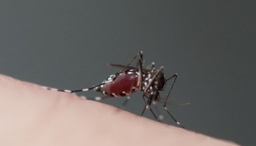 ������ �������, ��� �� ������