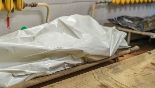 :          50 000 .  