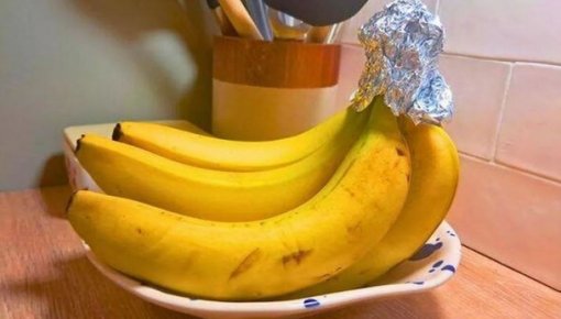 ������ �� ������� ��������: ������ � ����� �������� �������