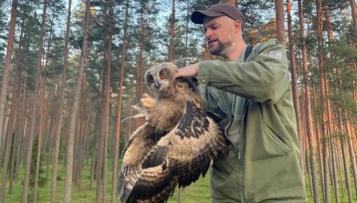 ������ ������ ������ ��� �������������� ����������