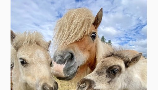 ������������! � JuRita mini ZOO ����������� ������ �����