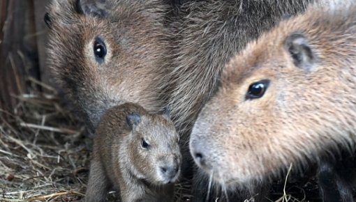 � �������������! � ������� �������� ������������ �����