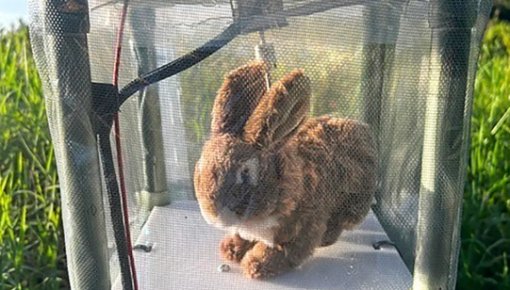 �� ����� ����� ������ ���������� ������� ����� 120 �������-��������