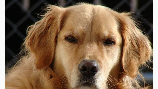 10 �������� ��������� �����, ����� ��� �������