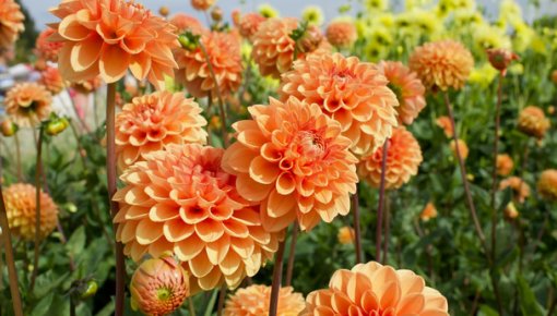 �� ����� �������: ���� ������ � ���������� � ������� �������� � ������ ������