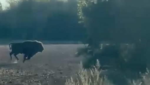 � ����������� ���� ����������� �� ����� ������������ ��������