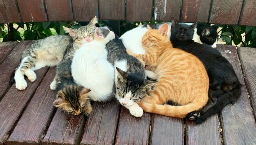 ���������� ���������: ���������� � ���������� ����� ��������� ������������� �����