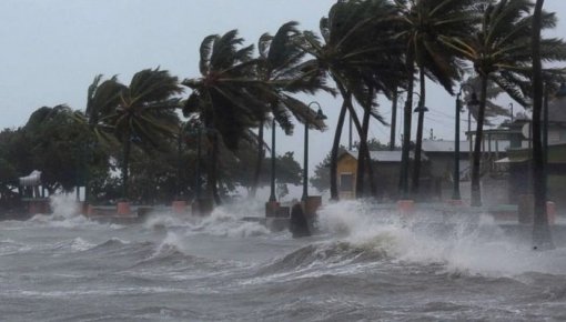 ����� ������ � ���� ���� ������: �� ������ ���������� ���������� ������� ��������