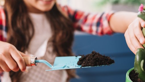 ��� ������� ���� ��� ����: ������� ����������� �����