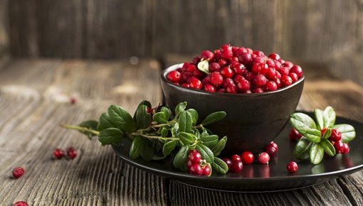 � ��������� ����� � �������� ����: ����� ���������, ������ �������� �������� ������� ��� �������� ��������