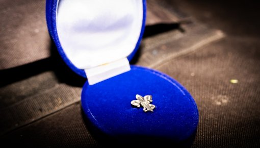 ������� �������� ����-2025� (+����)