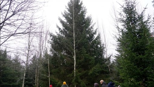 ������� ���� ������! ������� �������������� ������� ������ �������