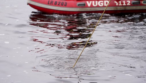 ���������� ������ �� ��������� �������: ������������ ����� � ��������, ��� �������� �������