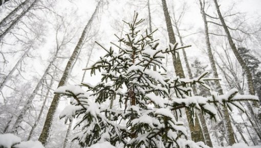 � ���� ���� � �������� ������ ����� ����� ������ �������������� ���� � ��� ������� ��� ���������