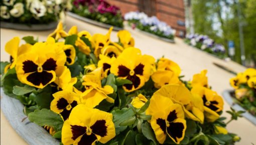 �� ��� � ������ ������������� 14,5 ������ ���������� ������ ����� � ���������