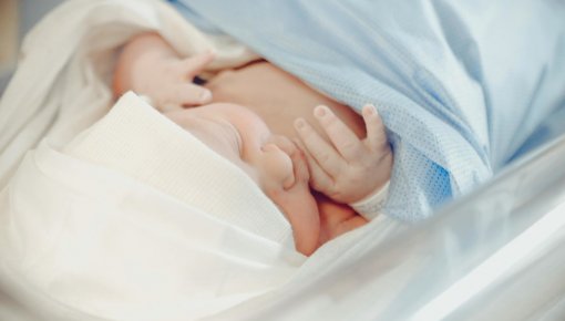 ���� ����������� ������������: �� ������ ������� �������� �� 10% ������ �����