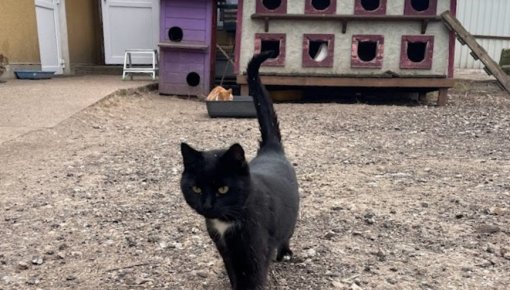 �������������� ����� ��� ��������: ������ ���������, ������ ���������� �������