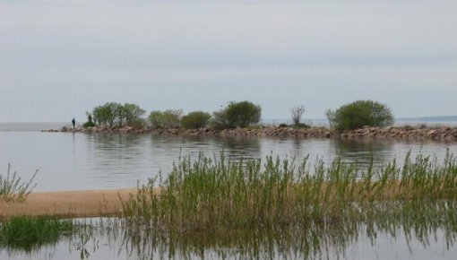 ��� ���������� ������������ ��������� ������� ������� � ��������� (+�����)