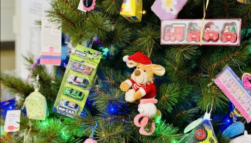 �������� ��������� � ���: ������������ ���������� ���������� ����������������� �����