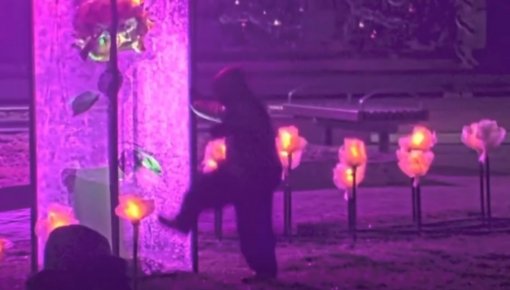 ������� �������������� ������ ������� ���������� � ������������ ���������� ������ (+�����)