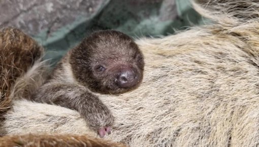 ������������ ������� � ������� �������� � ������� ������� ������ �������