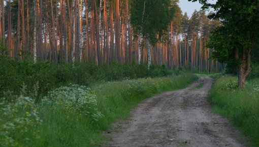 ������ ����� ������� �� ����� �����: ������ ��������� �������� ���������� ������