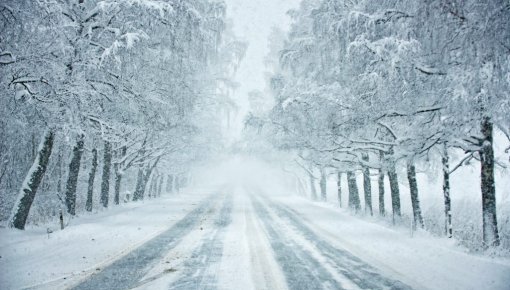 ����������, ��������� ����� ���: ���� � ������� ������������ ������ ������