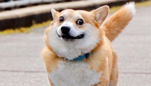 �� ������ ��������� � ������� ����� ������ � ������ �������� �������