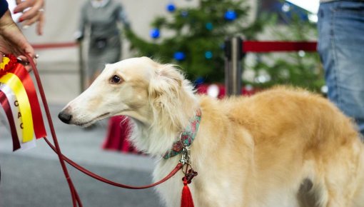 � �������� ����������� ����� ���������� �� ��������� �������� �����