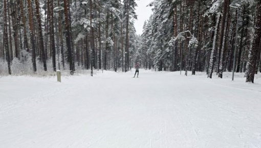 ������������ ��������� ������������ �� �������� �� ������ ��������� ������ � �������