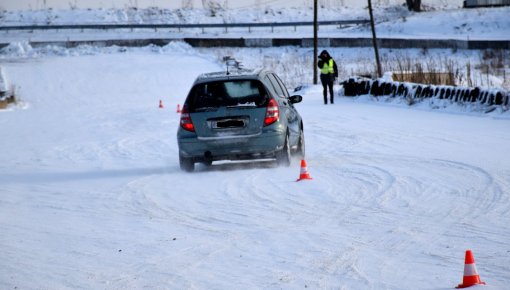 CSDD �������� � ������� ���������� ������������ �� ������� ��������