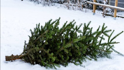 ���� ����� ����������: ������� ������ ������� �� �� ����������� �����������