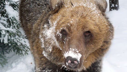 ��������� ������ ���� ���� �� ������������ ������ 25-������� ������