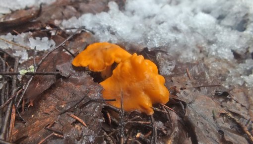 ������ �������: ������ ��������� � �������� ����� ����� ����� �� ����