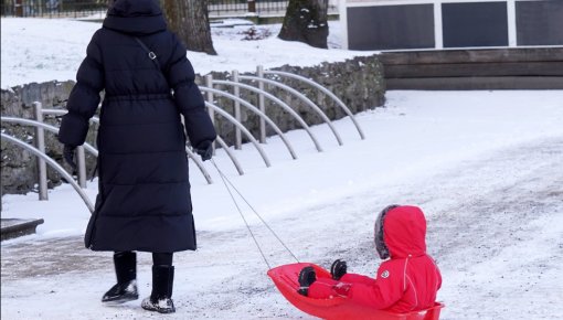 ����� ����� ������ ���������