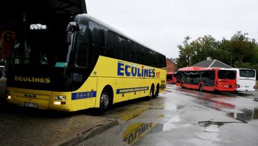 Ecolines ��������� ������������ ����� ����� ������� � ������������