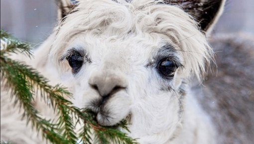 �������� ����� ����� ����� � ��������� �� � ������� JuRita