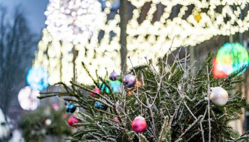 ������ ������� ����������� ����������� �������� ��������������� ����������