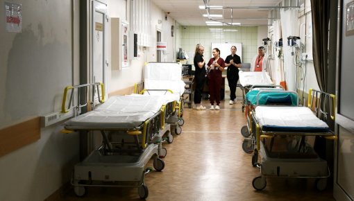 ������ ��������������� ��������: ��� ��������� � ������� ��������������� � ���� �������� �������