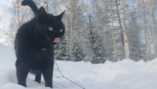 �� ��������� ������ ������ ����� ������� ��� ����� ������� �����