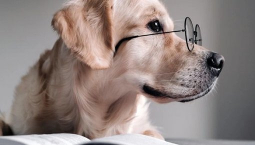 ������������: ������ �������� ��������� ����� �����, ����������� ��������� �����