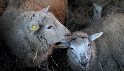 ����������� ���������!� ��������� ������ ������� ��������� �� ��������; ����� ����� � ��� ������ �������