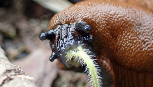 ������ ��������� �����