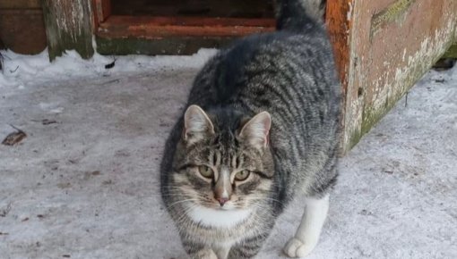 ������� ������ � ������: ������ � �����, ���������� �� ������, ��������� � ����