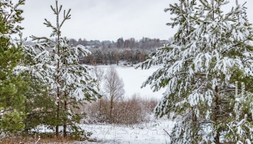 � ����������� ����� ���������� �� -21 �������