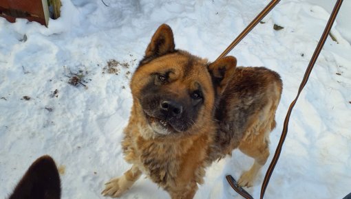 ����������������-������������ ������ ������ 15 ����� � ���� �����