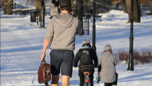 ����� ��������: ����������� ���� � ������ ����� �������� ����������