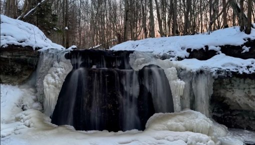 ������� � ����� ����������� ���������: �������� ������������ � ������� �������� (+����)