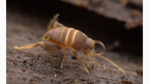 ���� ���� ������! ���������� ���������� ������� ��������� ����